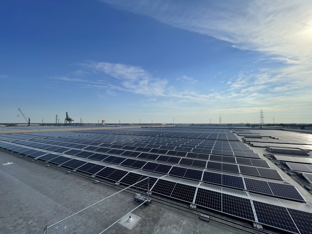 The team on a solar site